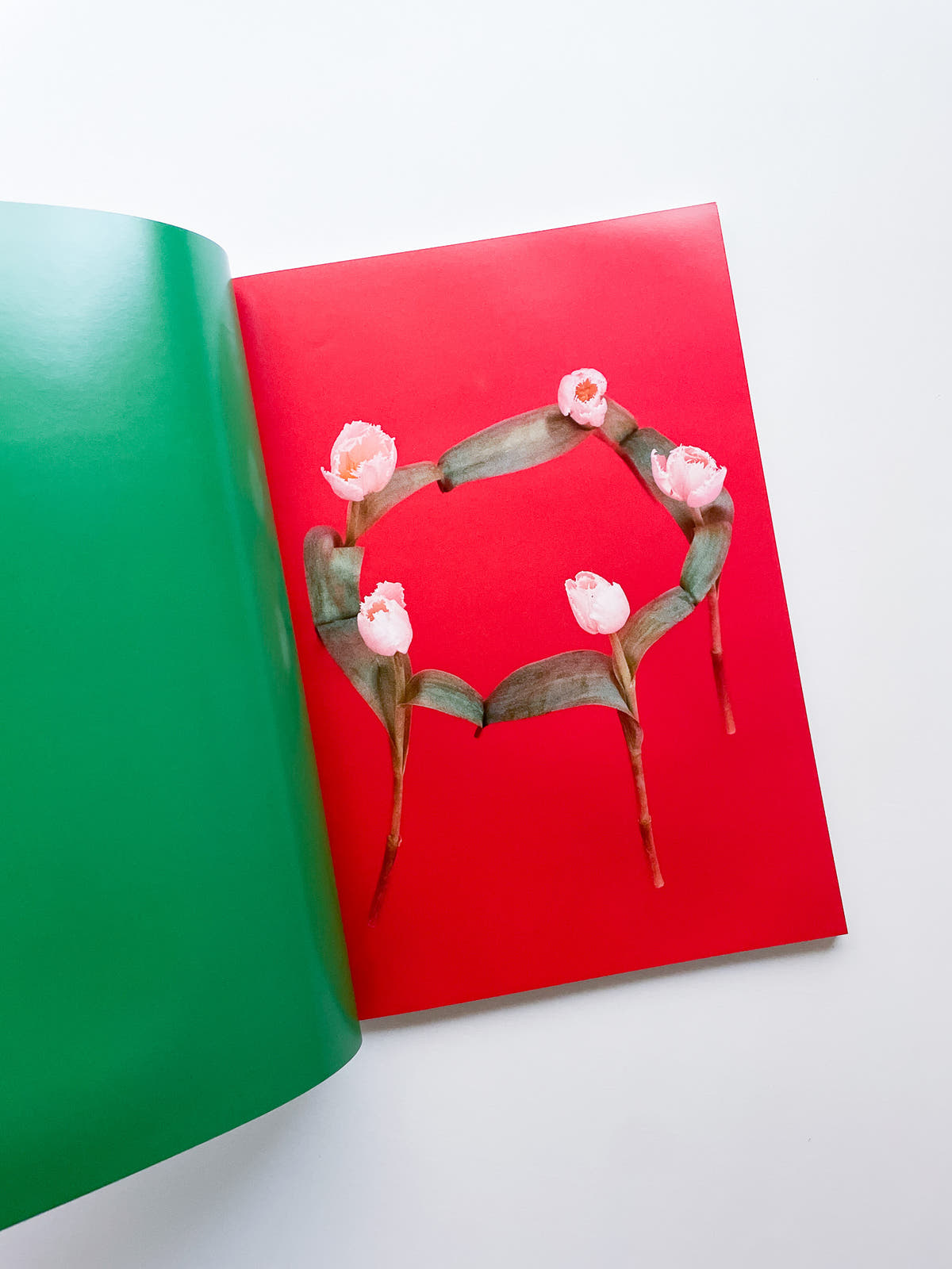 The Chromatics of Flowers / Paula Codoner
