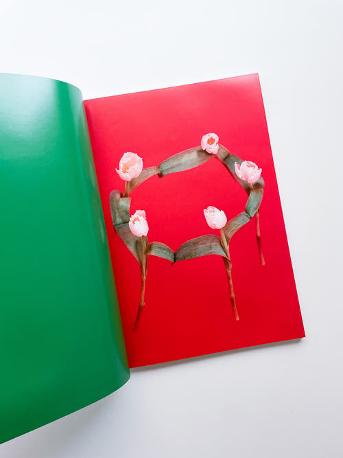 The Chromatics of Flowers / Paula Codoner