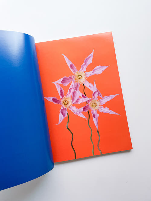 The Chromatics of Flowers / Paula Codoner