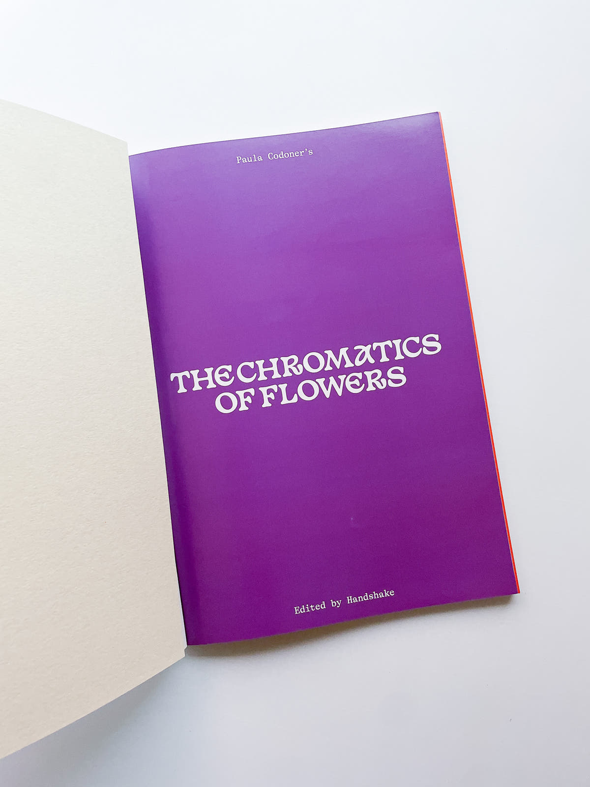 The Chromatics of Flowers / Paula Codoner