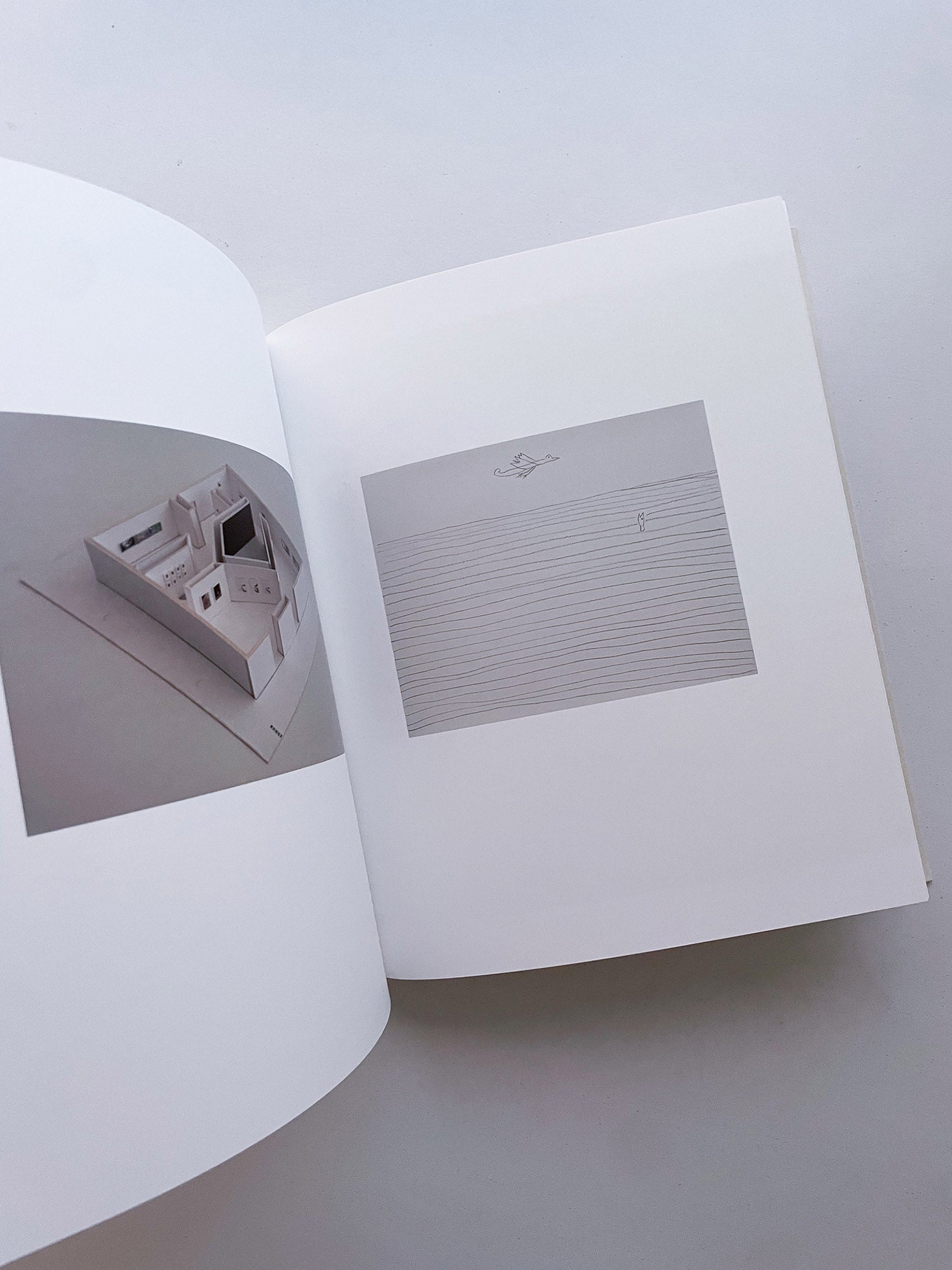 Small Miracles / Noguchi Rika