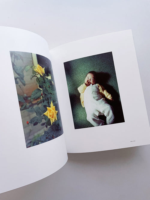 Small Miracles / Noguchi Rika