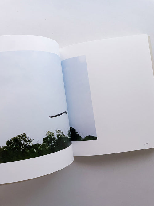 Small Miracles / Noguchi Rika