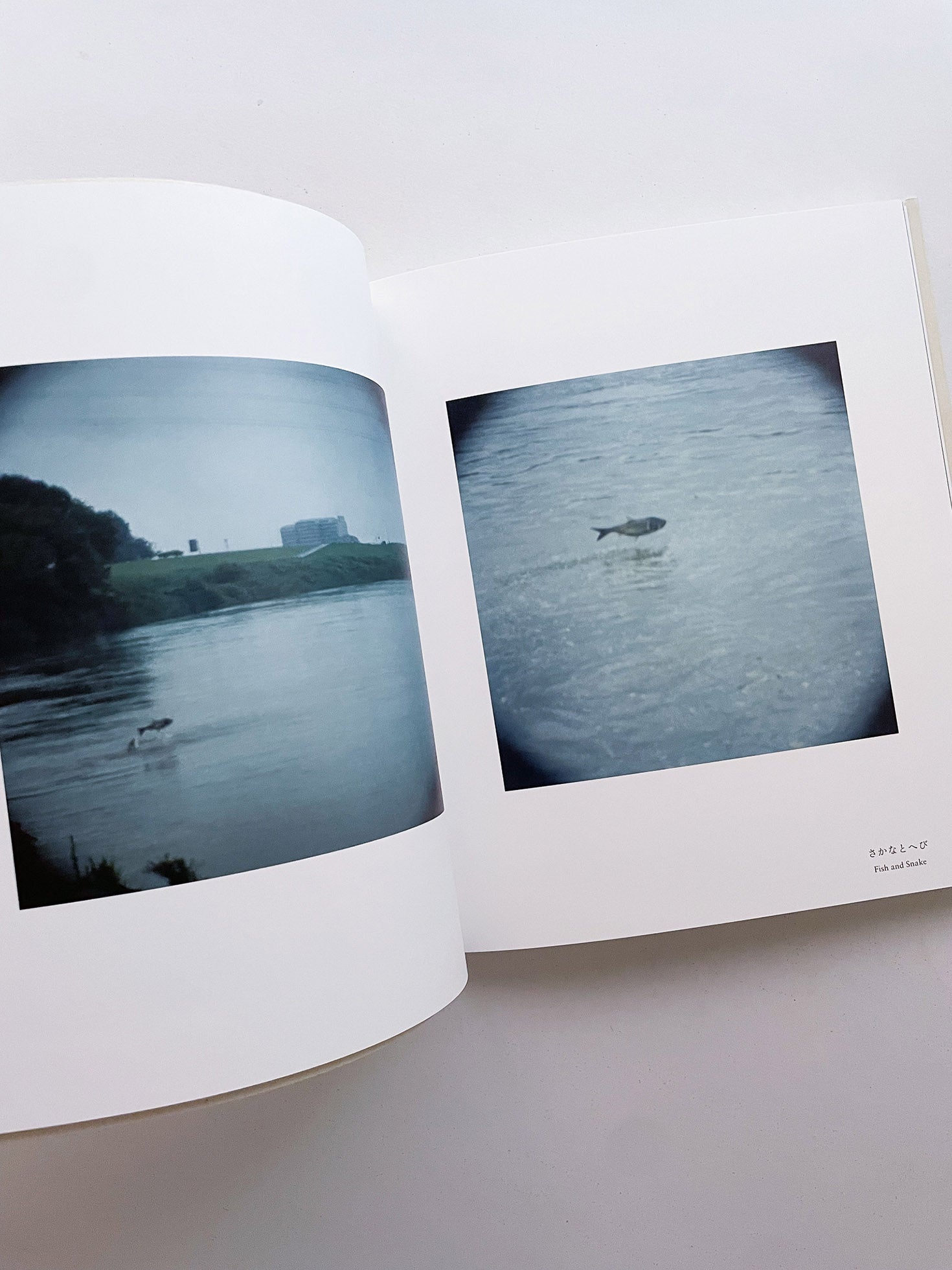 Small Miracles / Noguchi Rika