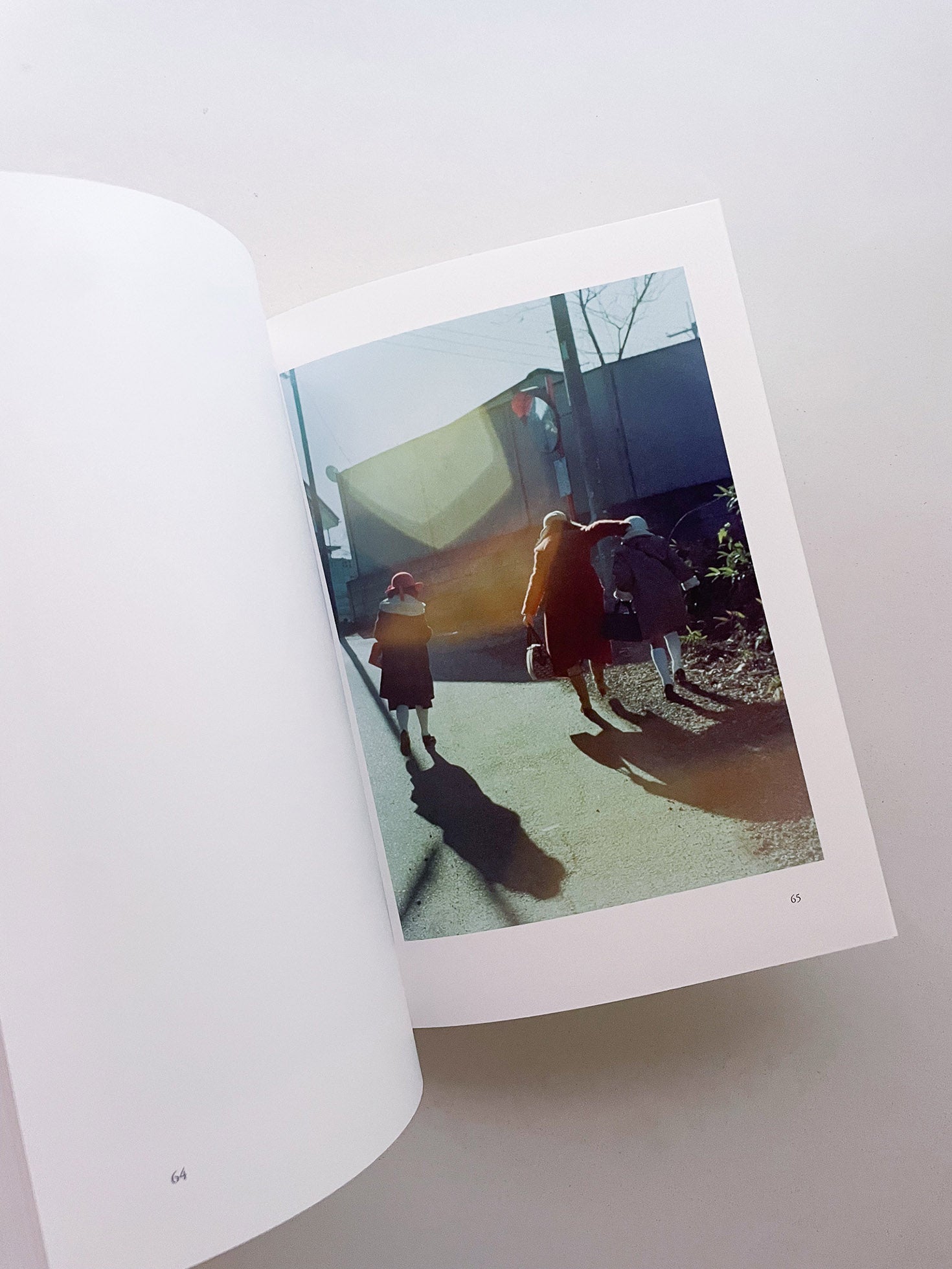 My Father's Album / Noguchi Rika