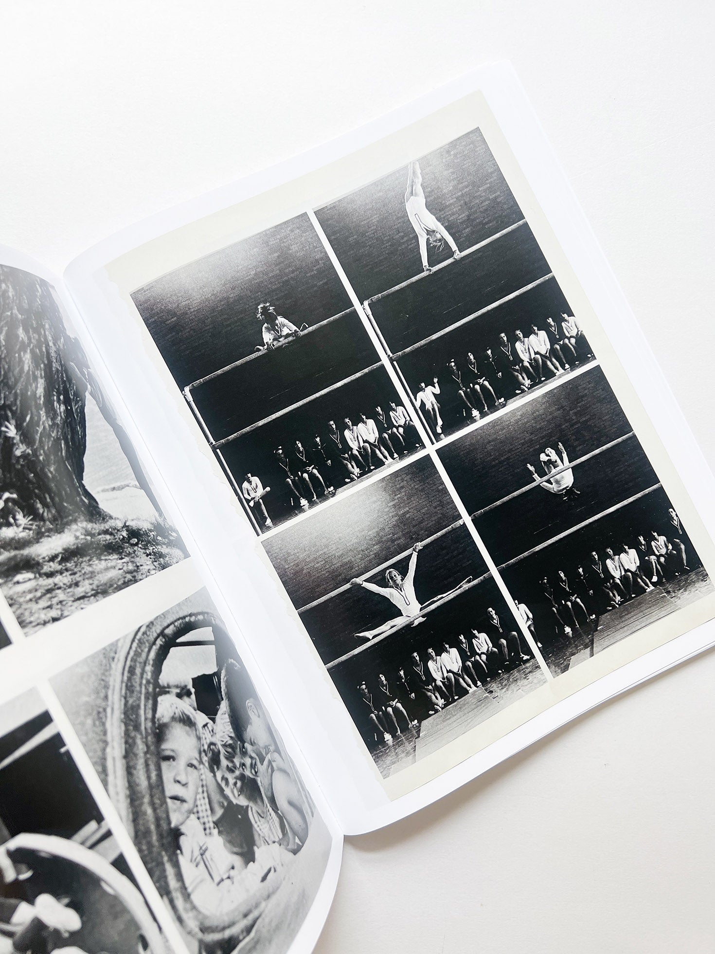 ARRANGEMENTS / Carmen Winant