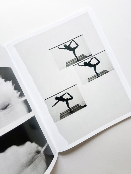 ARRANGEMENTS / Carmen Winant