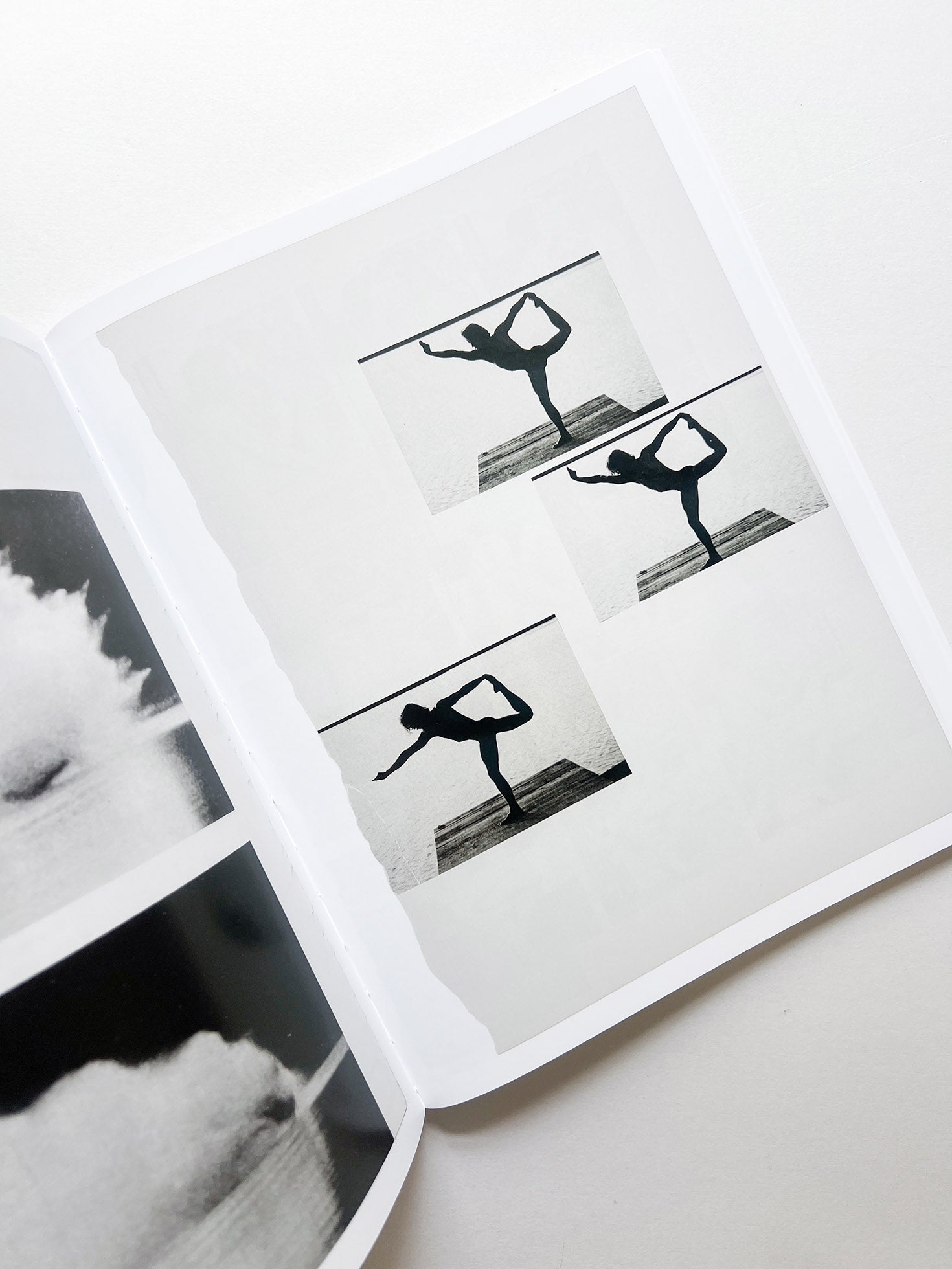 ARRANGEMENTS / Carmen Winant