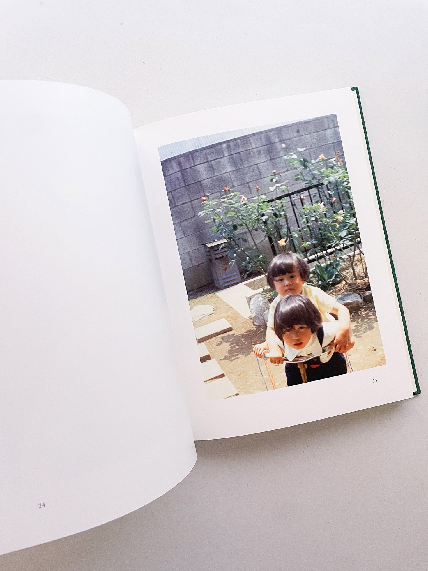 My Father's Album / Noguchi Rika