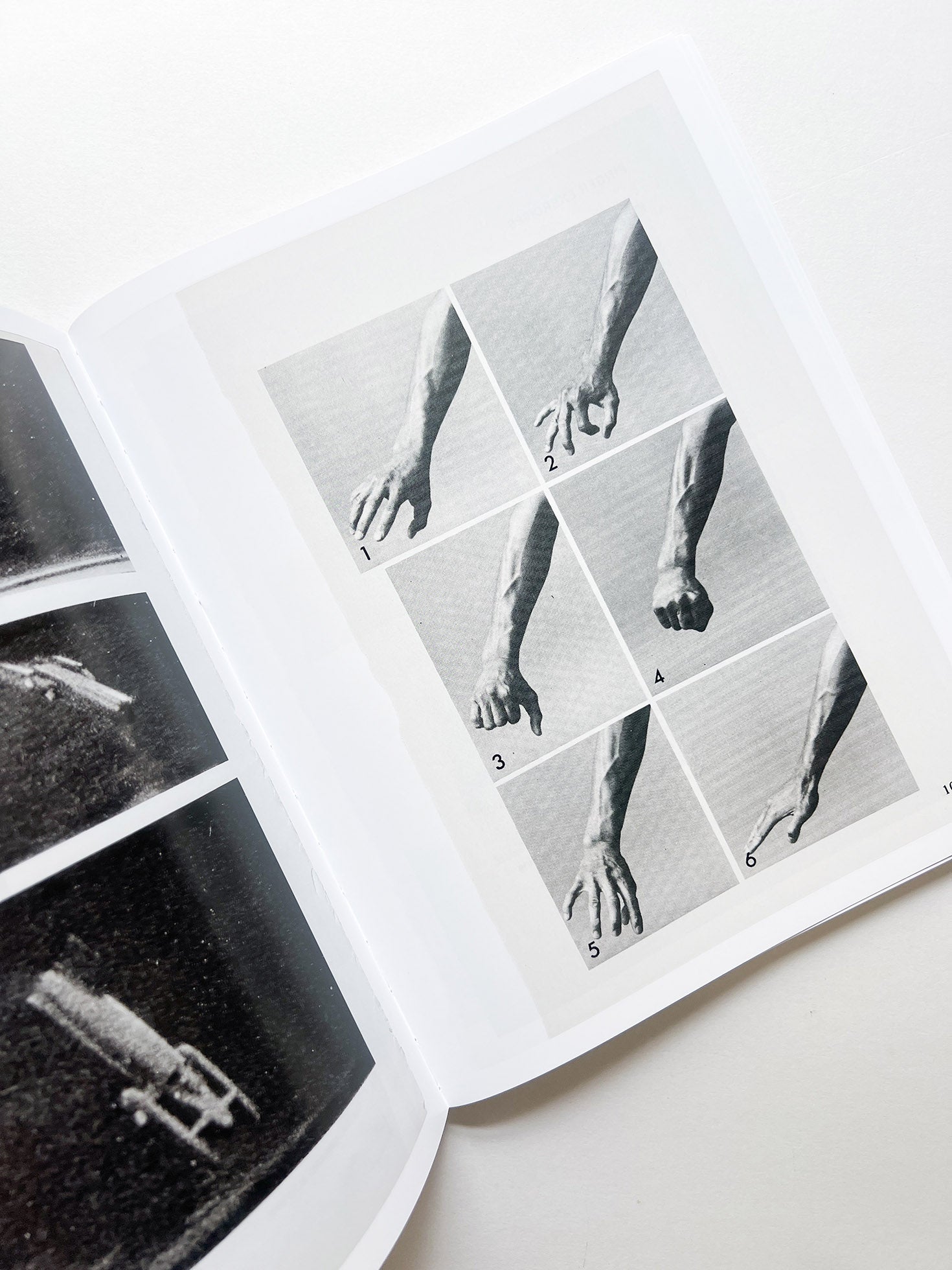 ARRANGEMENTS / Carmen Winant