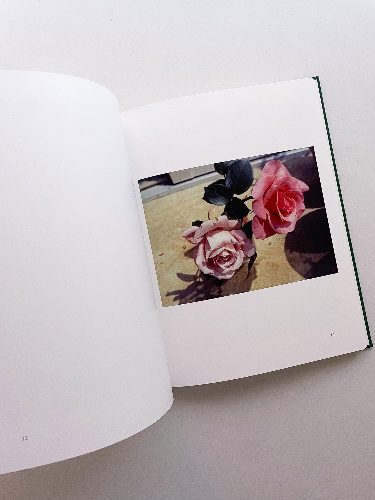 My Father's Album / Noguchi Rika