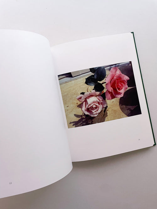 My Father's Album / Noguchi Rika