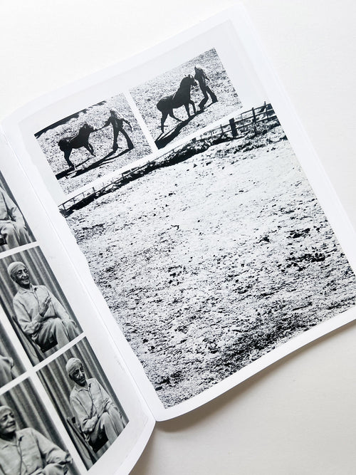 ARRANGEMENTS / Carmen Winant