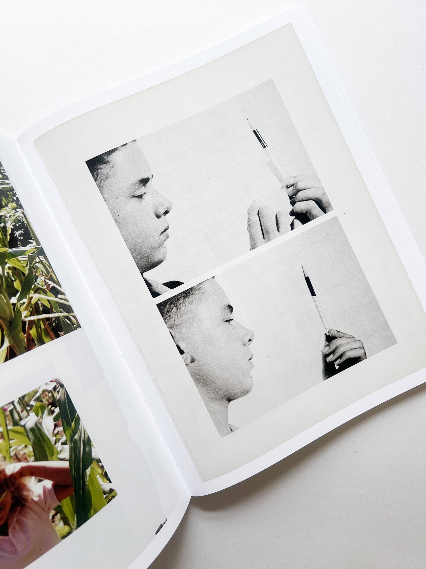 ARRANGEMENTS / Carmen Winant