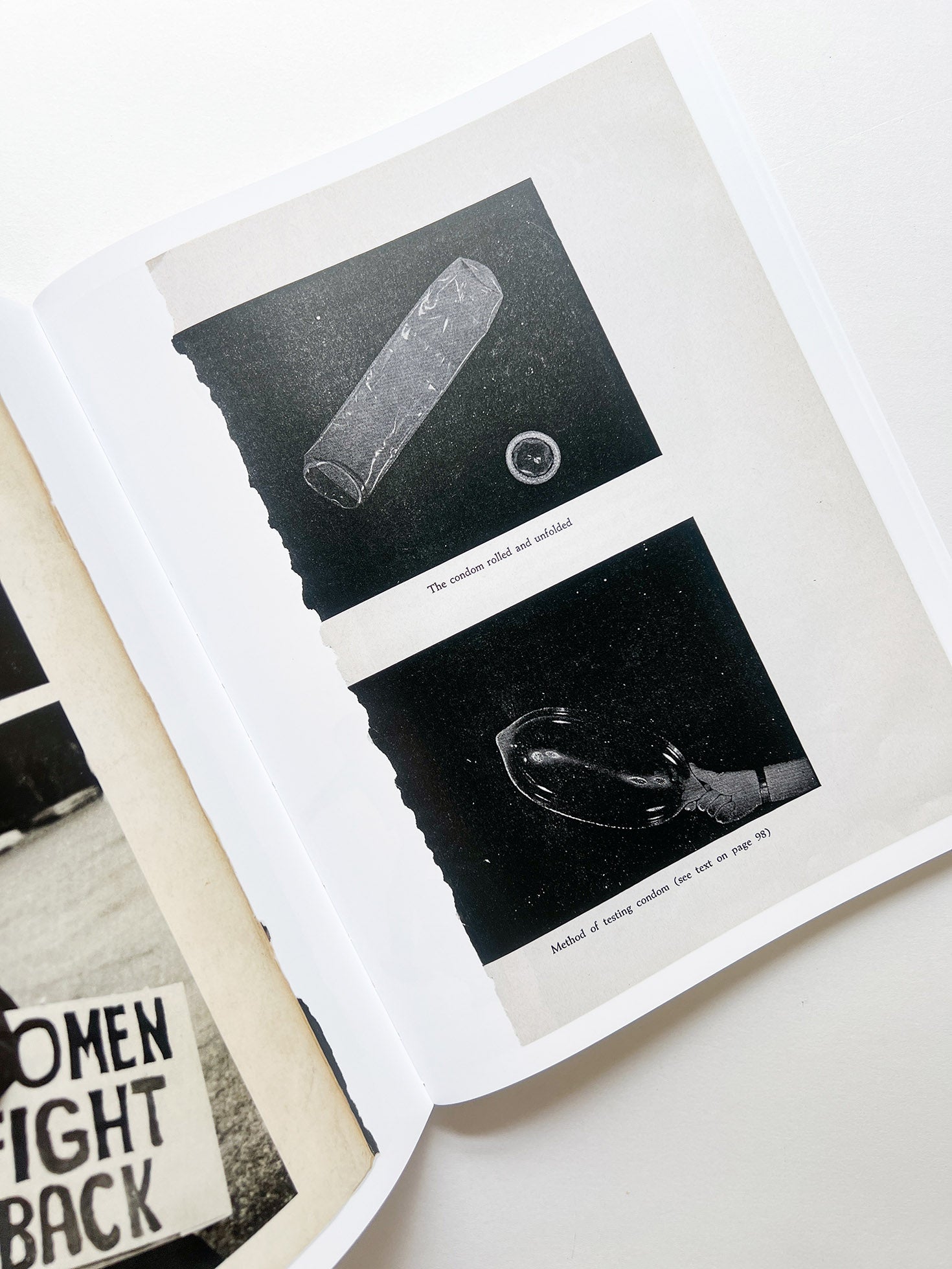 ARRANGEMENTS / Carmen Winant