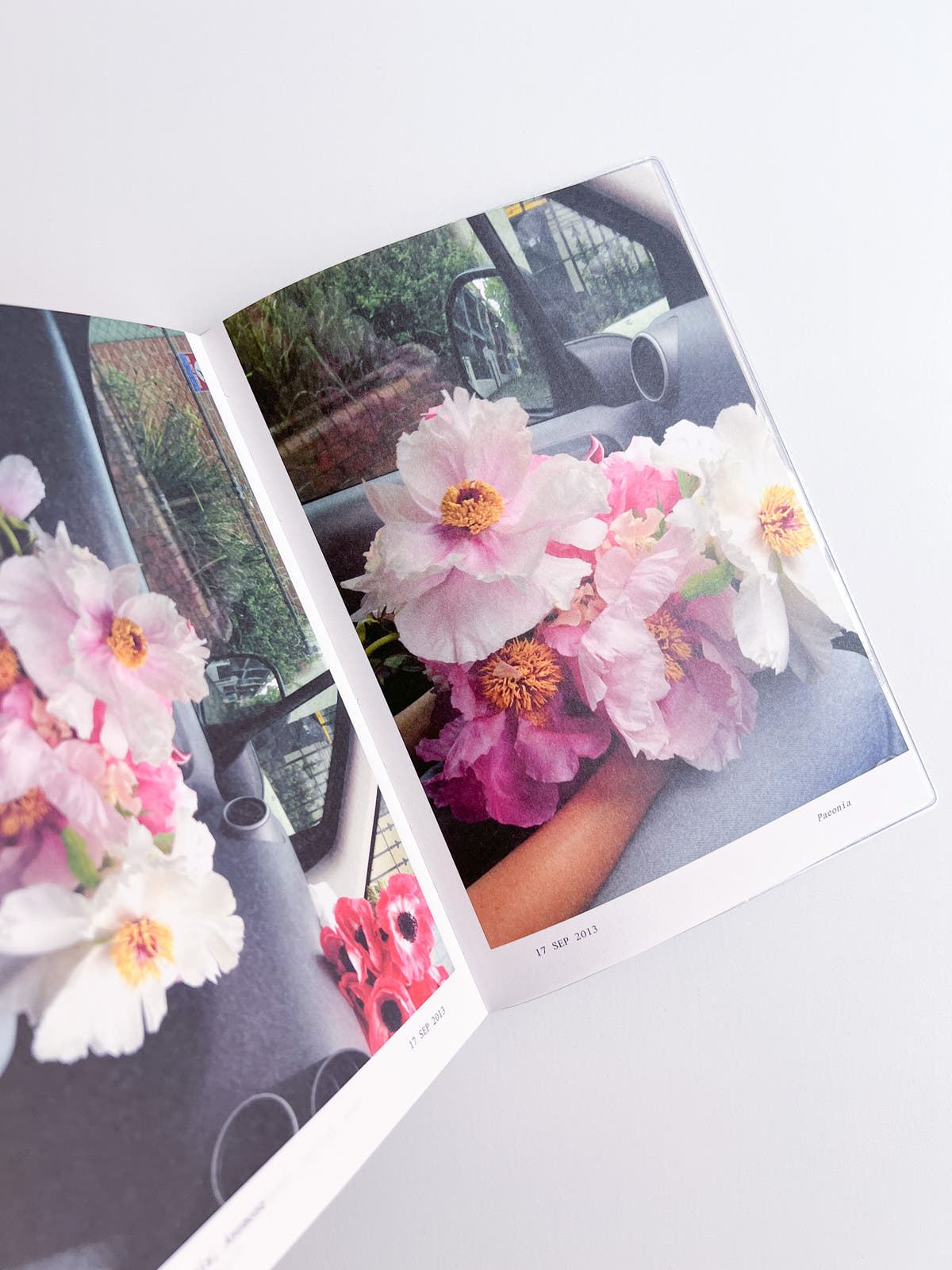 Flowers in the Front Seat / Simone Gooch