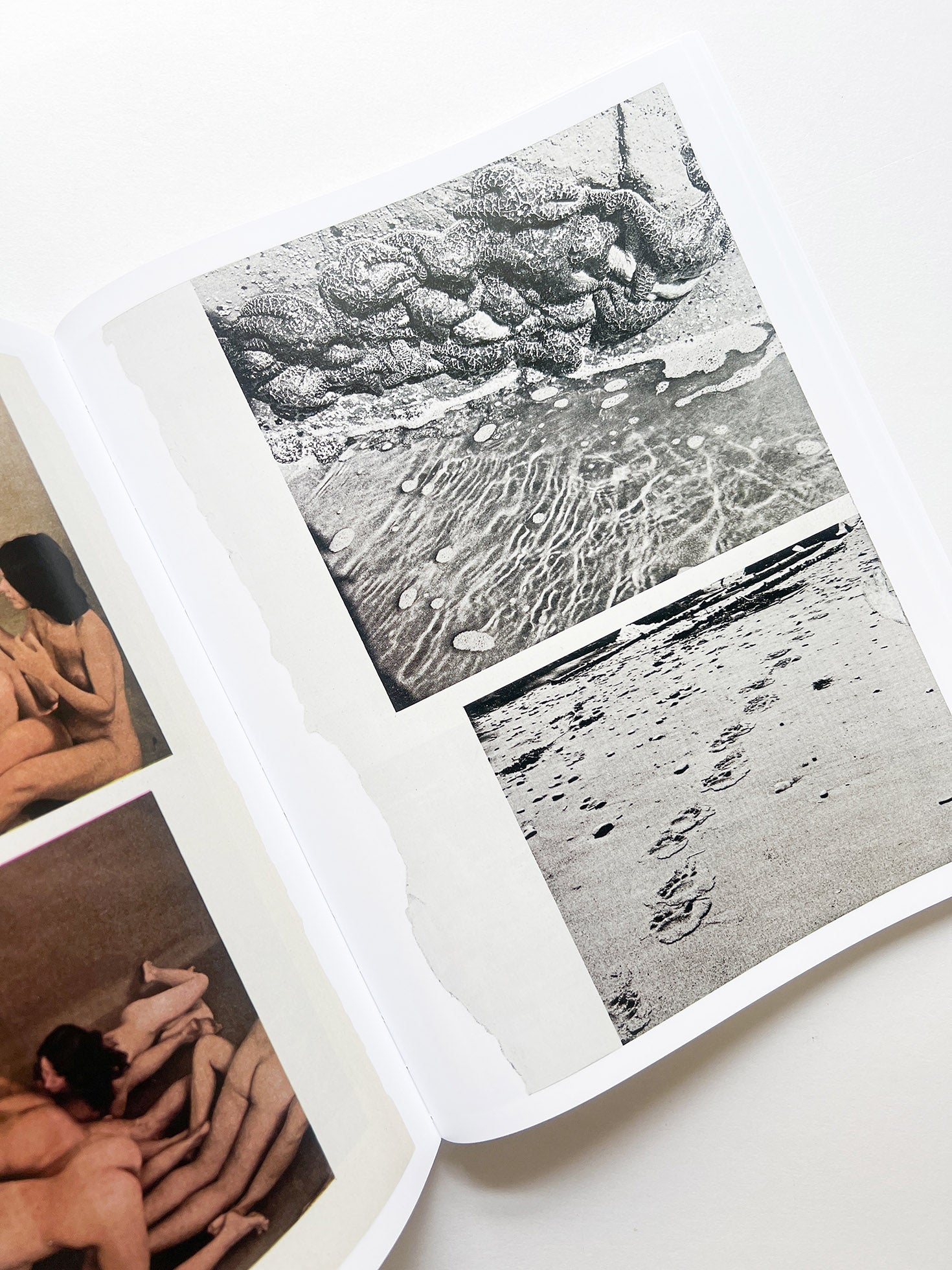 ARRANGEMENTS / Carmen Winant