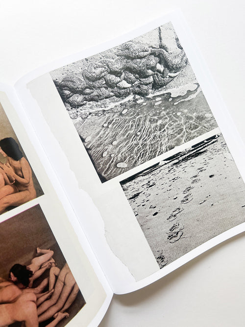 ARRANGEMENTS / Carmen Winant