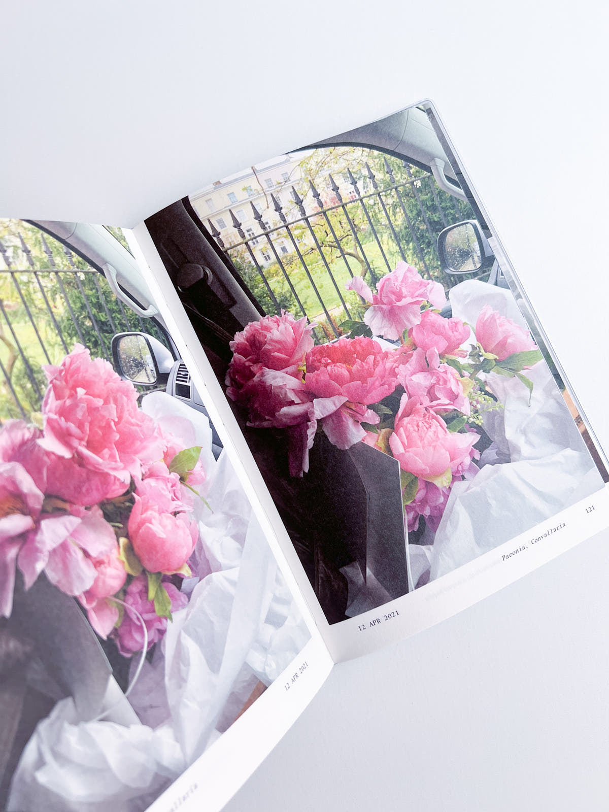 Flowers in the Front Seat / Simone Gooch