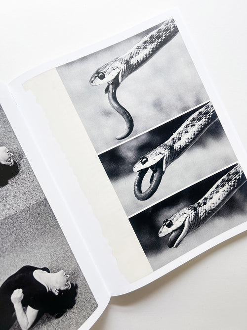 ARRANGEMENTS / Carmen Winant