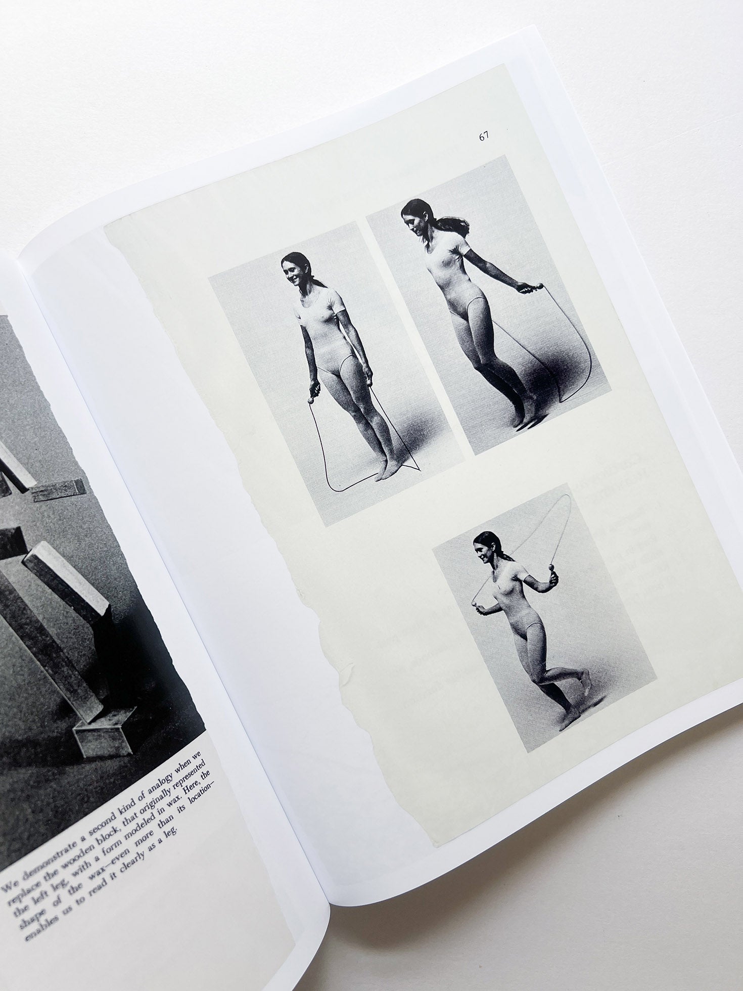 ARRANGEMENTS / Carmen Winant