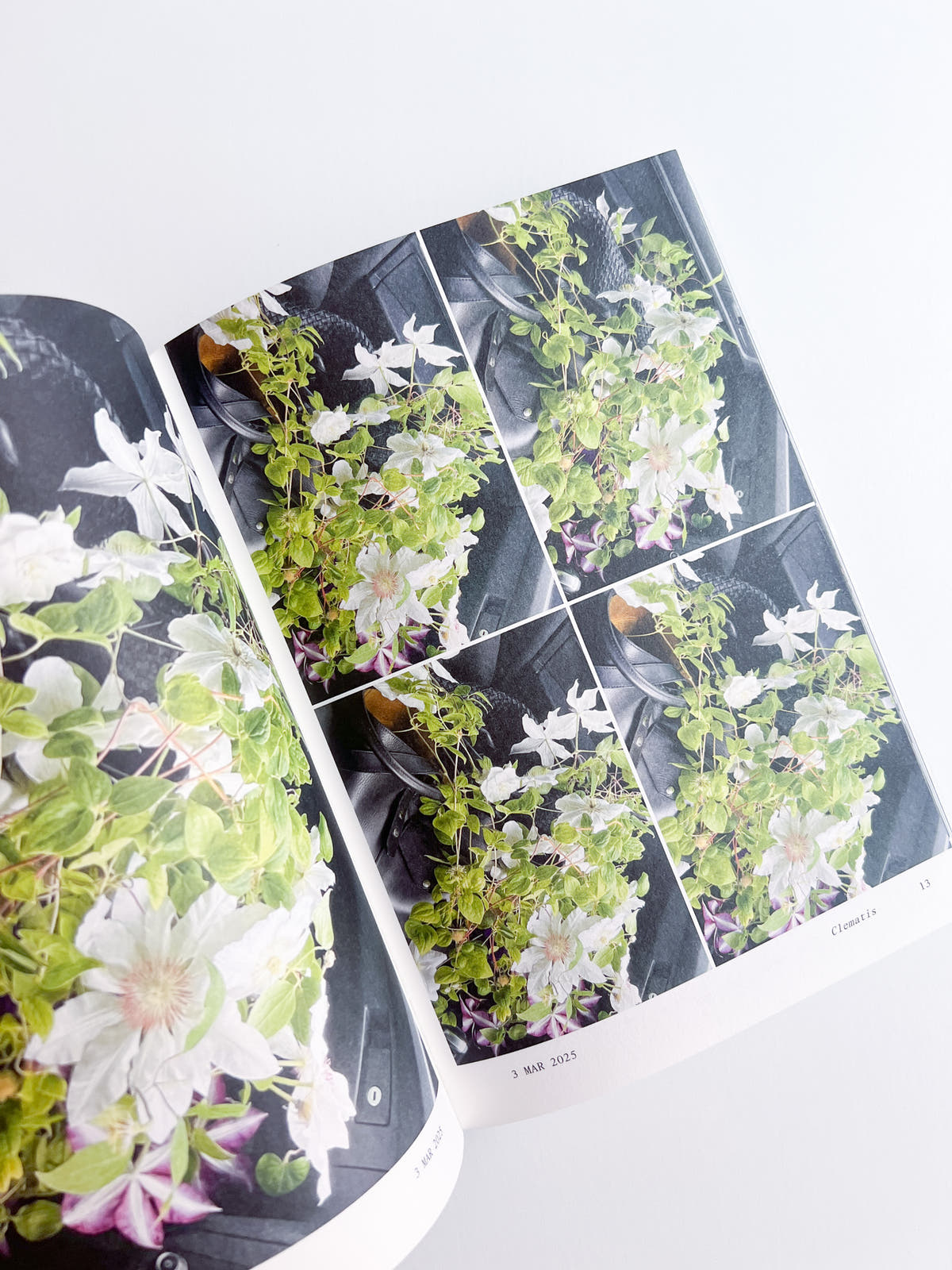 Flowers in the Front Seat / Simone Gooch