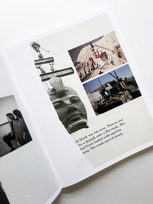 ARRANGEMENTS / Carmen Winant