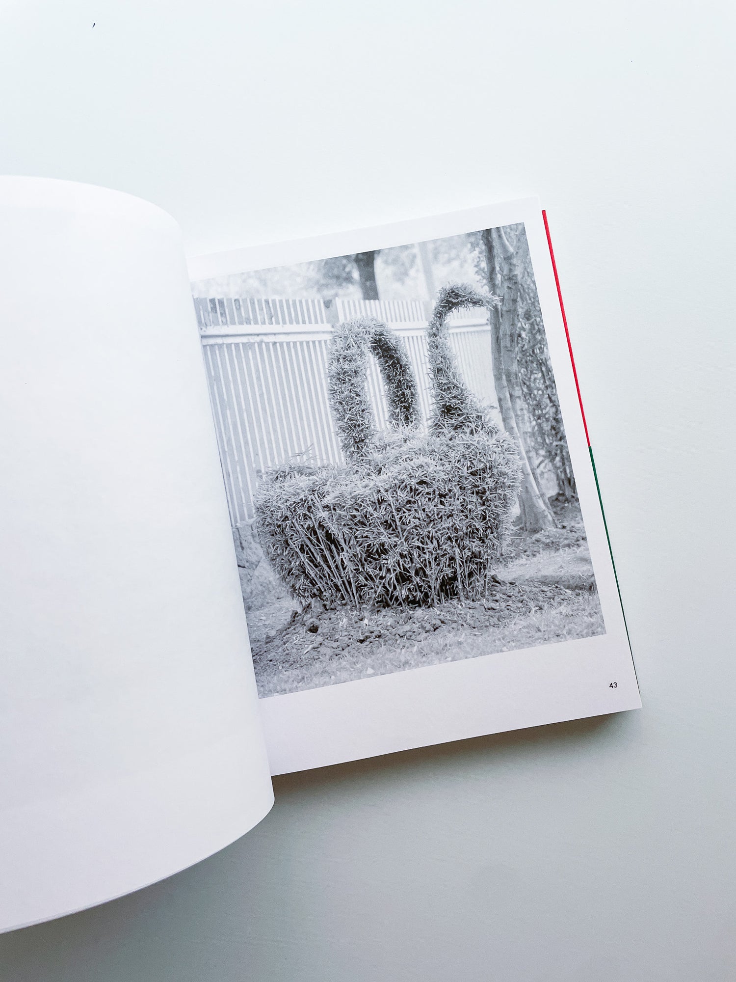 A Guide on Gardening / Rubén Montesinos