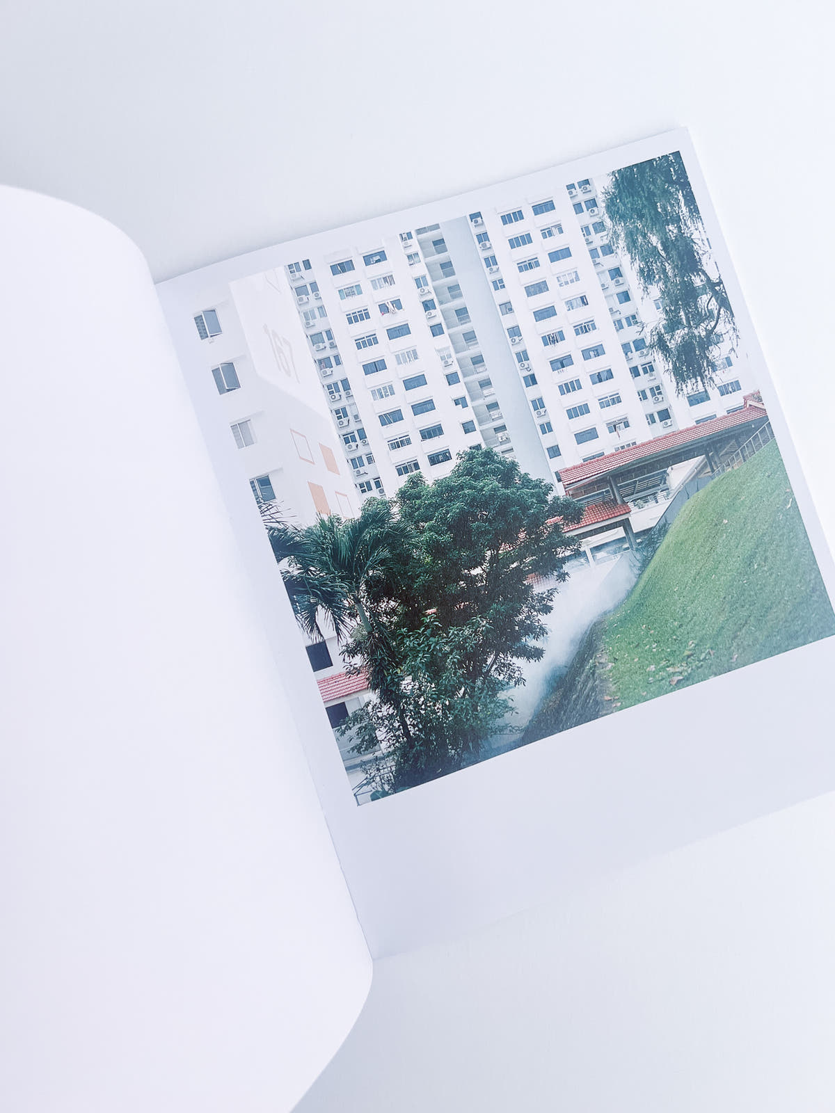 White Noise / Kathy Anne Lim
