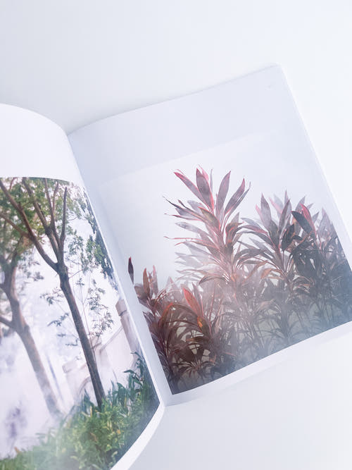 White Noise / Kathy Anne Lim