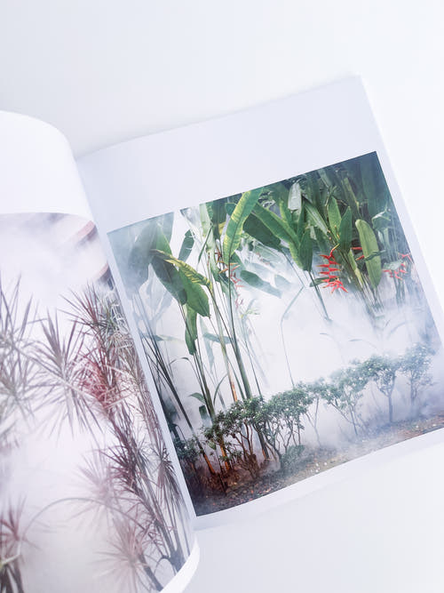 White Noise / Kathy Anne Lim