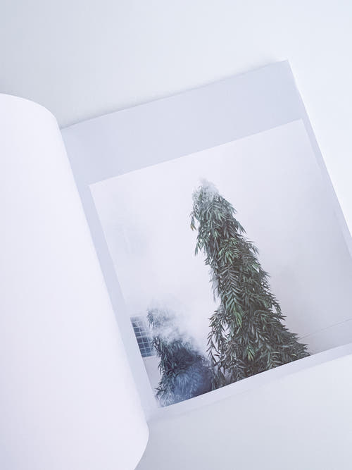 White Noise / Kathy Anne Lim