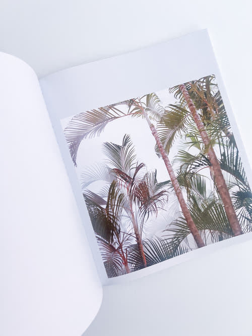 White Noise / Kathy Anne Lim