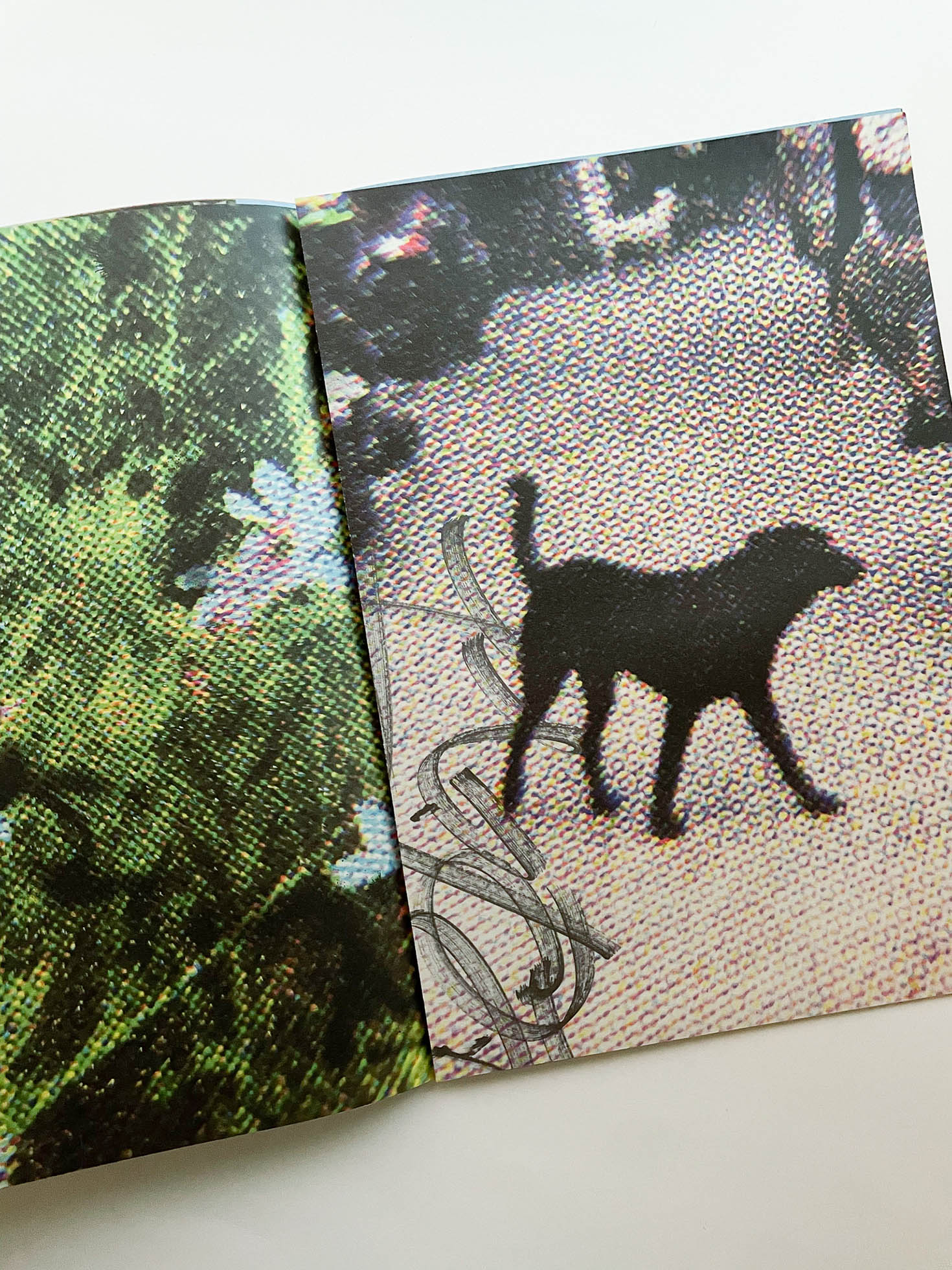 VANISHING POINT exhibition in liminal zone / Kanade Hamamoto [SIGNED]