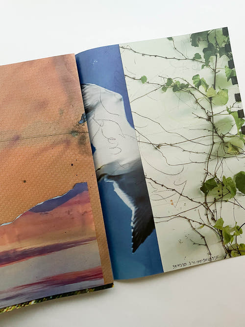 VANISHING POINT exhibition in liminal zone / Kanade Hamamoto [SIGNED]