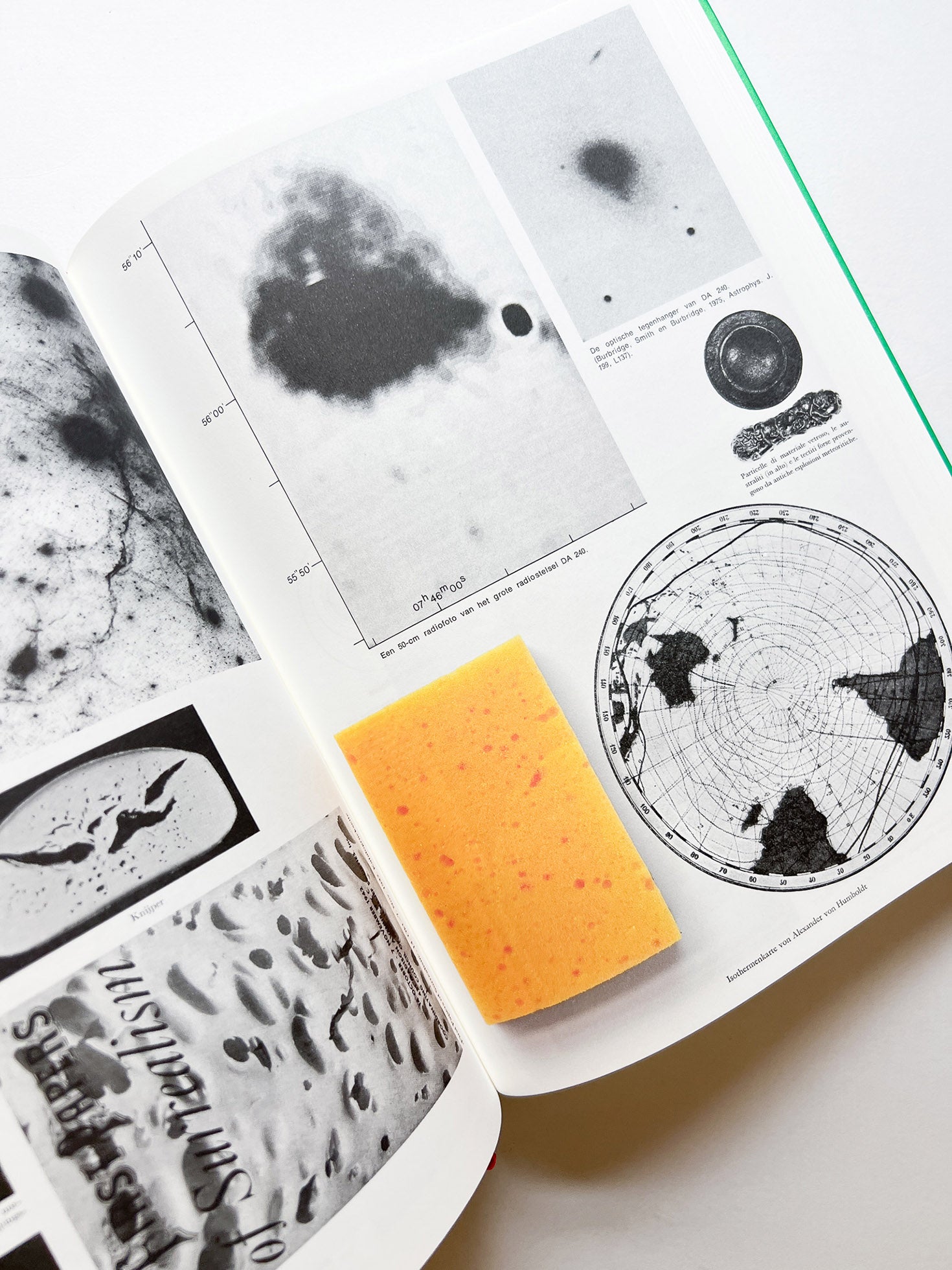 Parallel Encyclopedia 2 Revised Edition (reprint) / Batia Suter