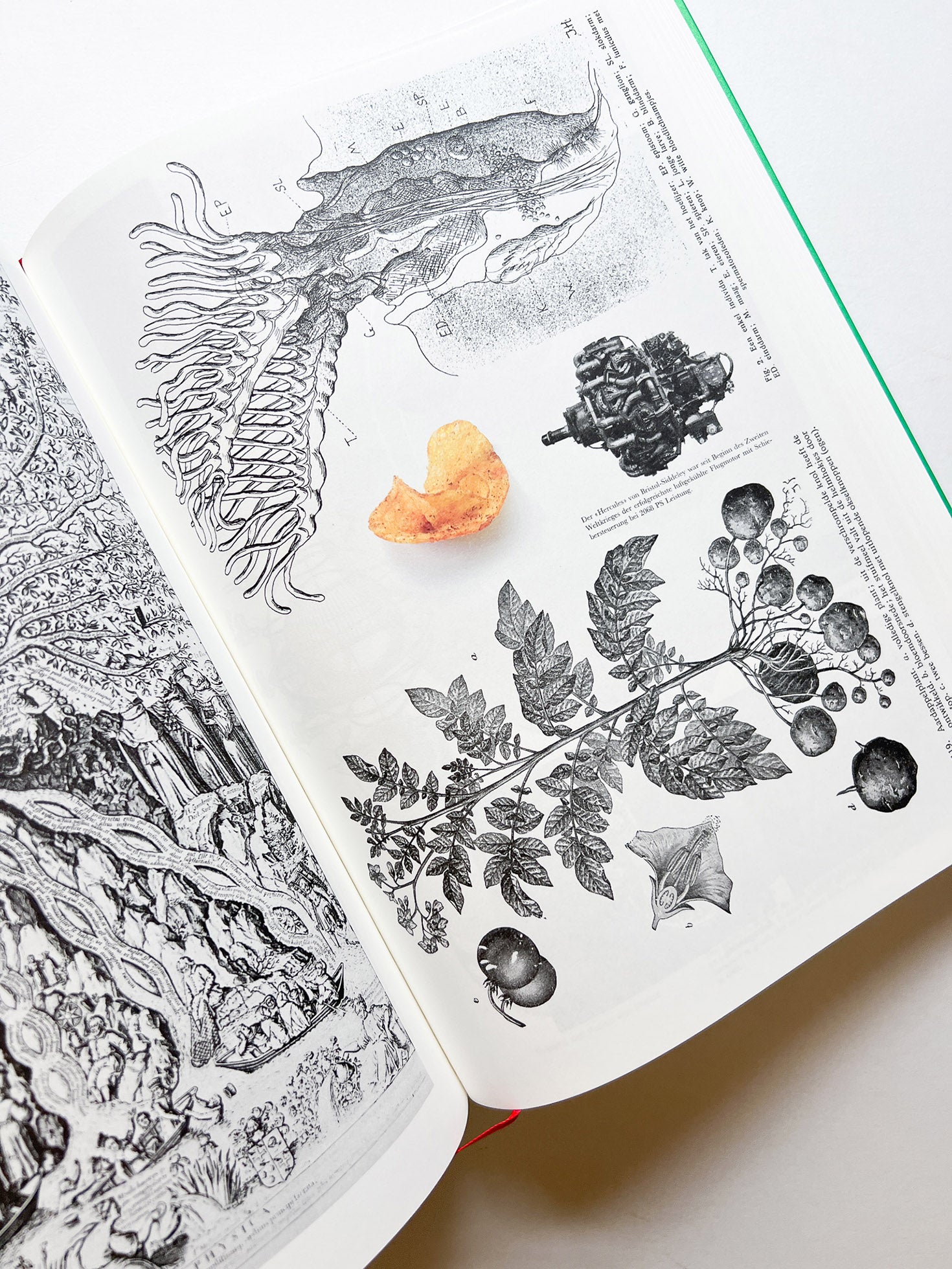 Parallel Encyclopedia 2 Revised Edition (reprint) / Batia Suter