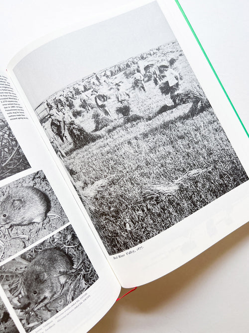 Parallel Encyclopedia 2 Revised Edition (reprint) / Batia Suter