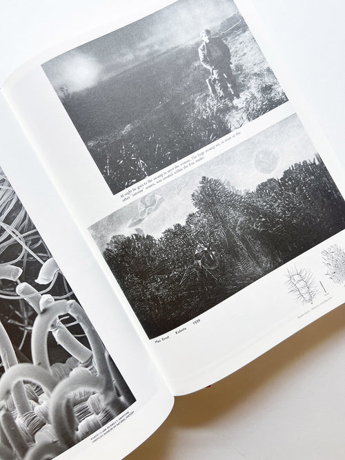 Parallel Encyclopedia 2 Revised Edition (reprint) / Batia Suter