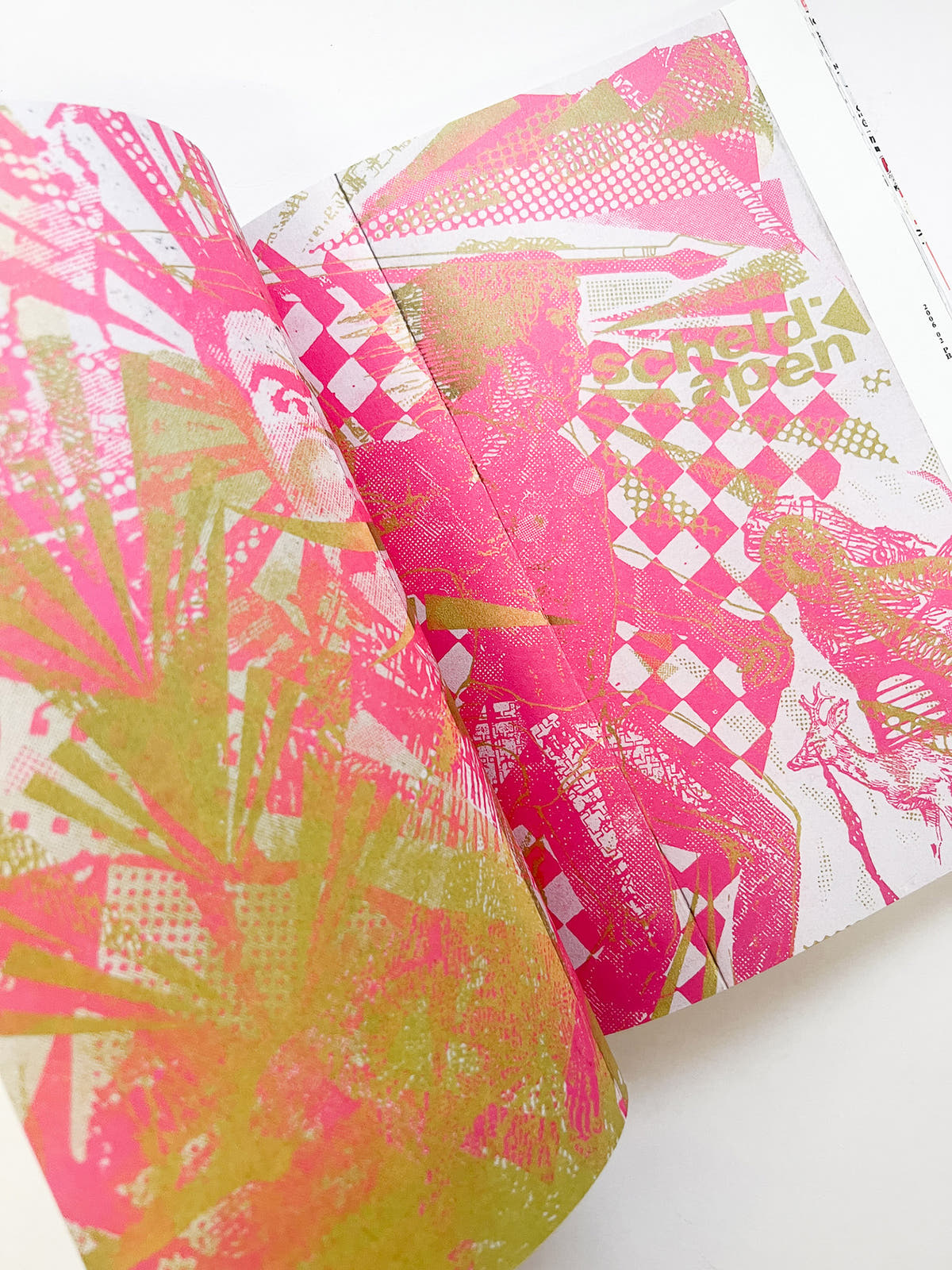GRAPHIC DESIGN of Scheld’Apen