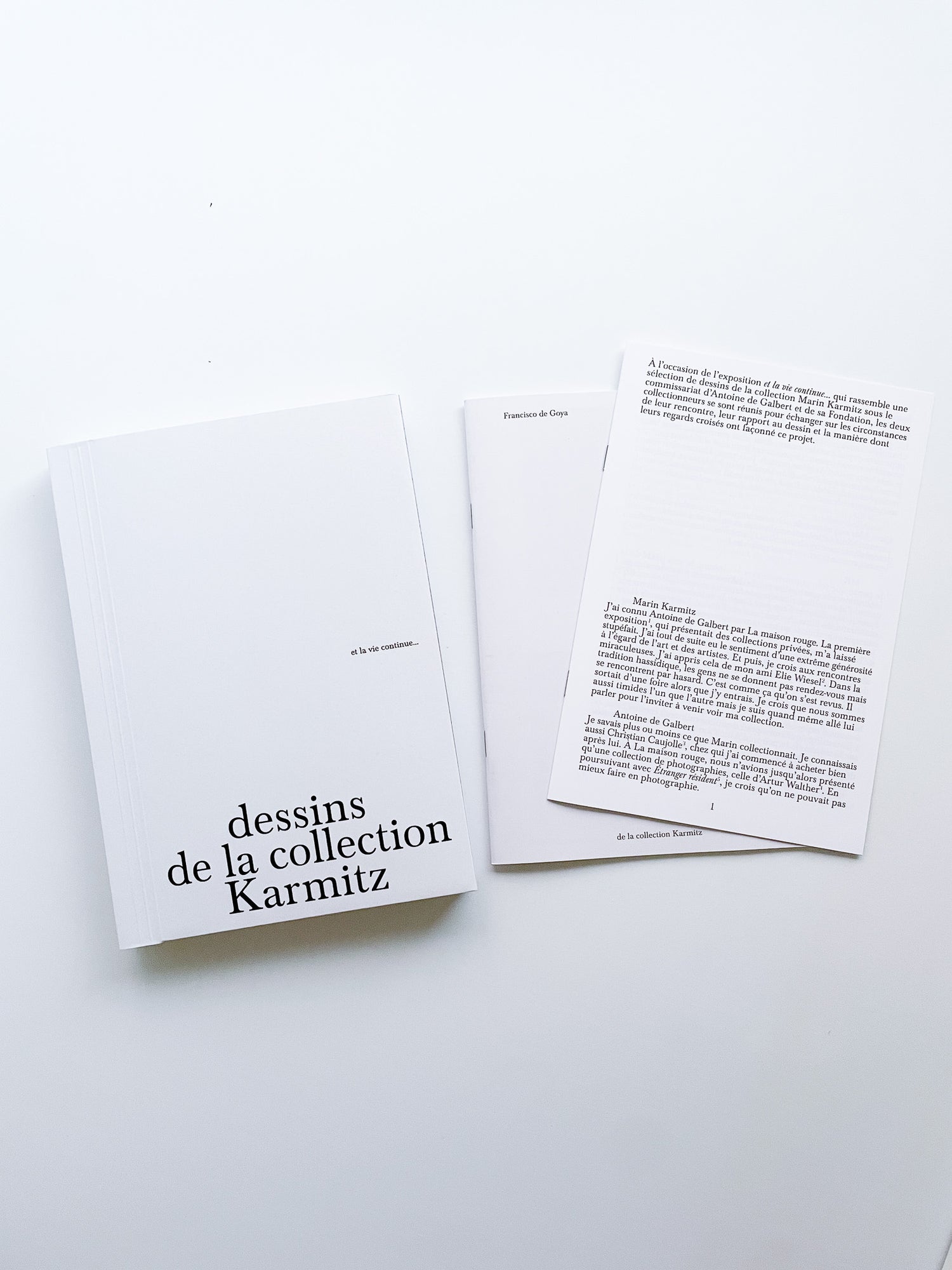 et la vie continue… dessins de la collection Karmitz
