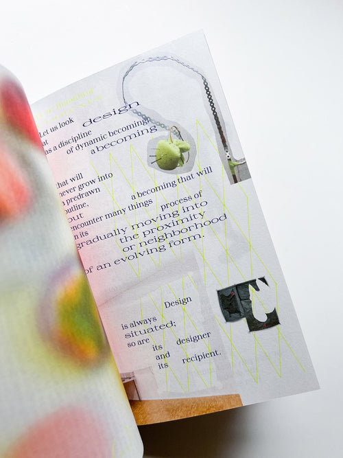 Glossary of Undisciplined Design / Anja Kaiser, Rebecca Stephany