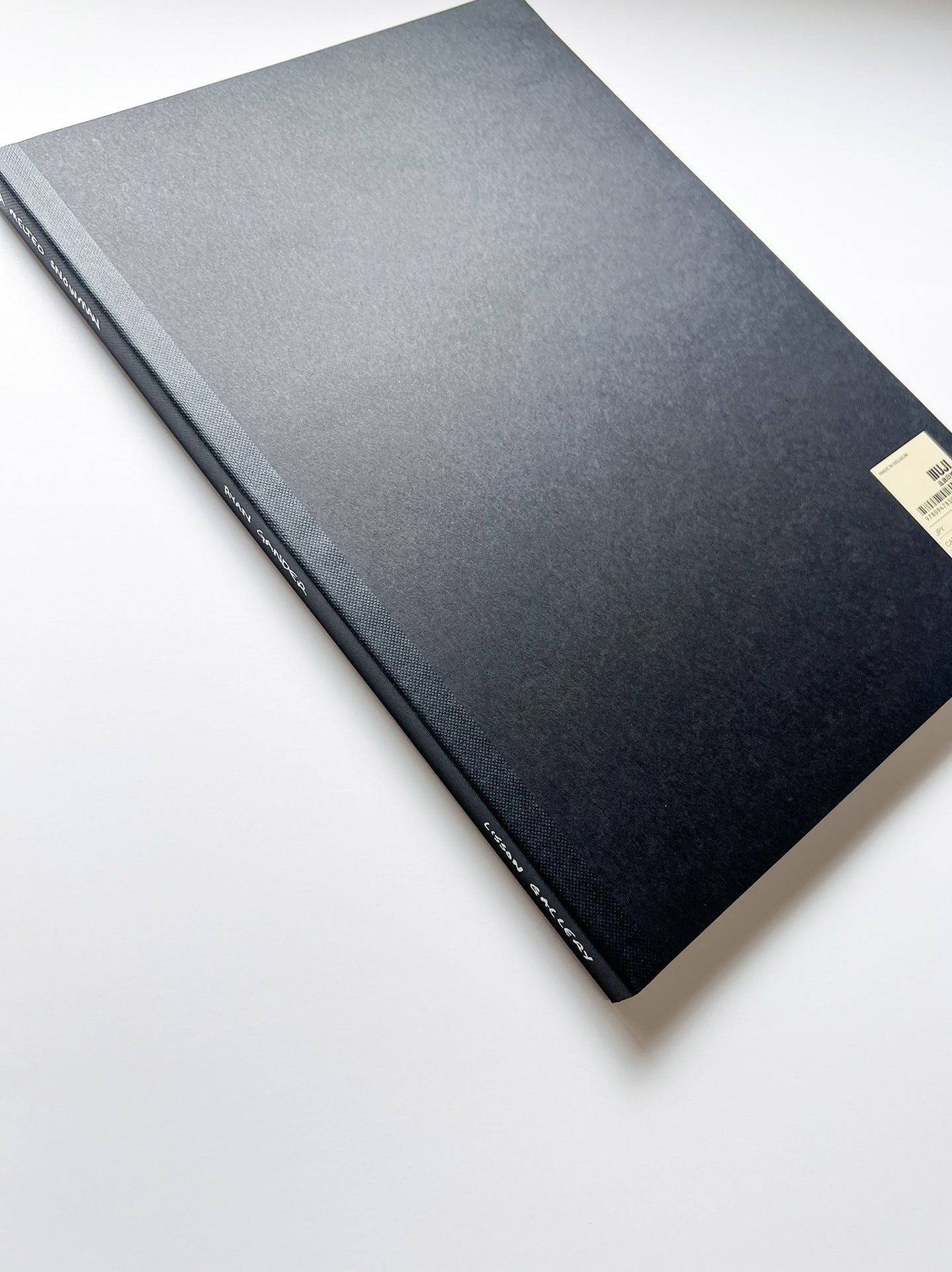 A MELTED SNOWMAN / Ryan Gander