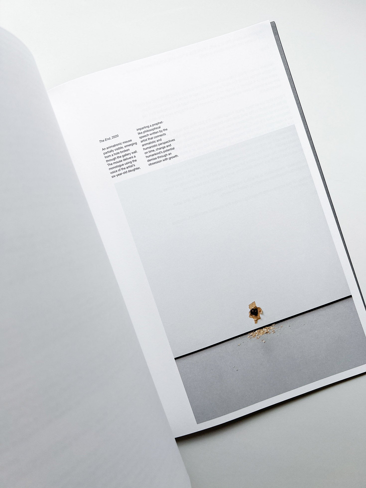 A MELTED SNOWMAN / Ryan Gander