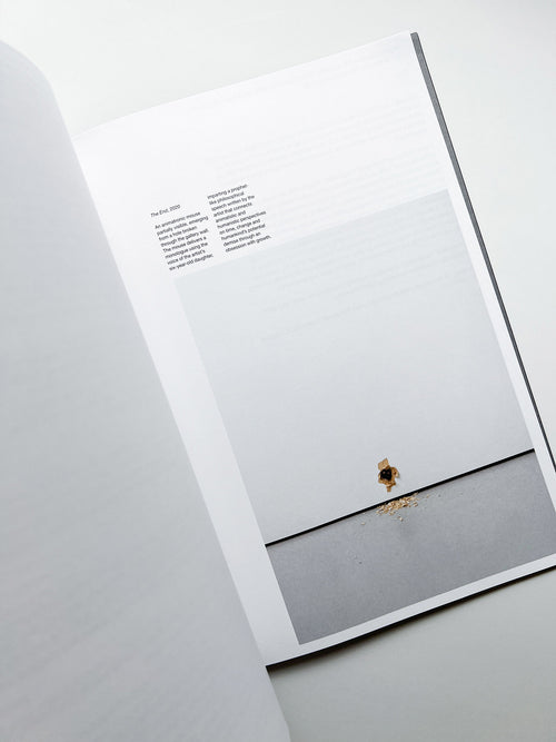 A MELTED SNOWMAN / Ryan Gander