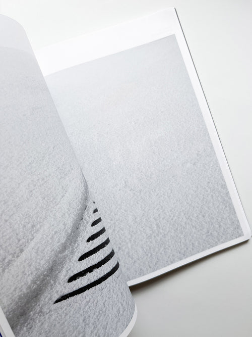 A MELTED SNOWMAN / Ryan Gander