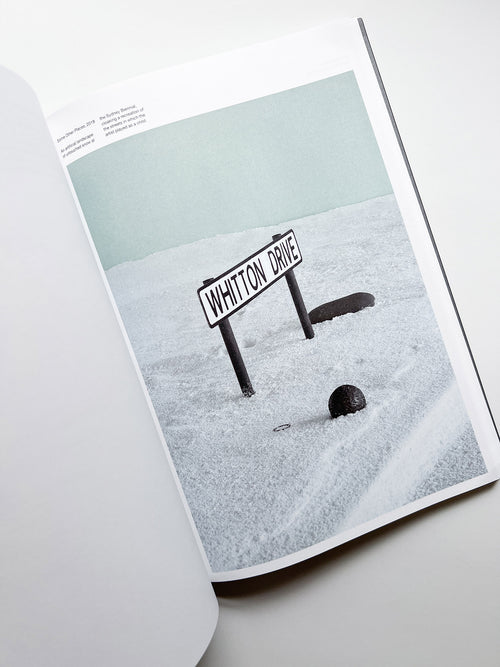 A MELTED SNOWMAN / Ryan Gander