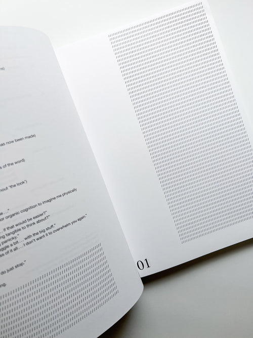 A MELTED SNOWMAN / Ryan Gander