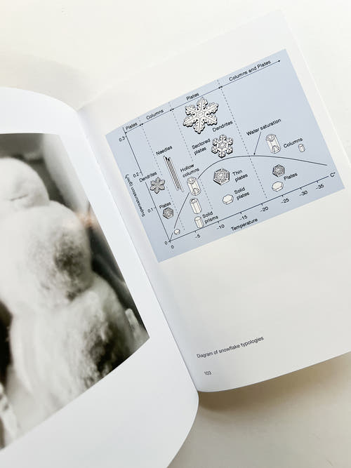 SNOWMAN / Peter Fischli & David Weiss