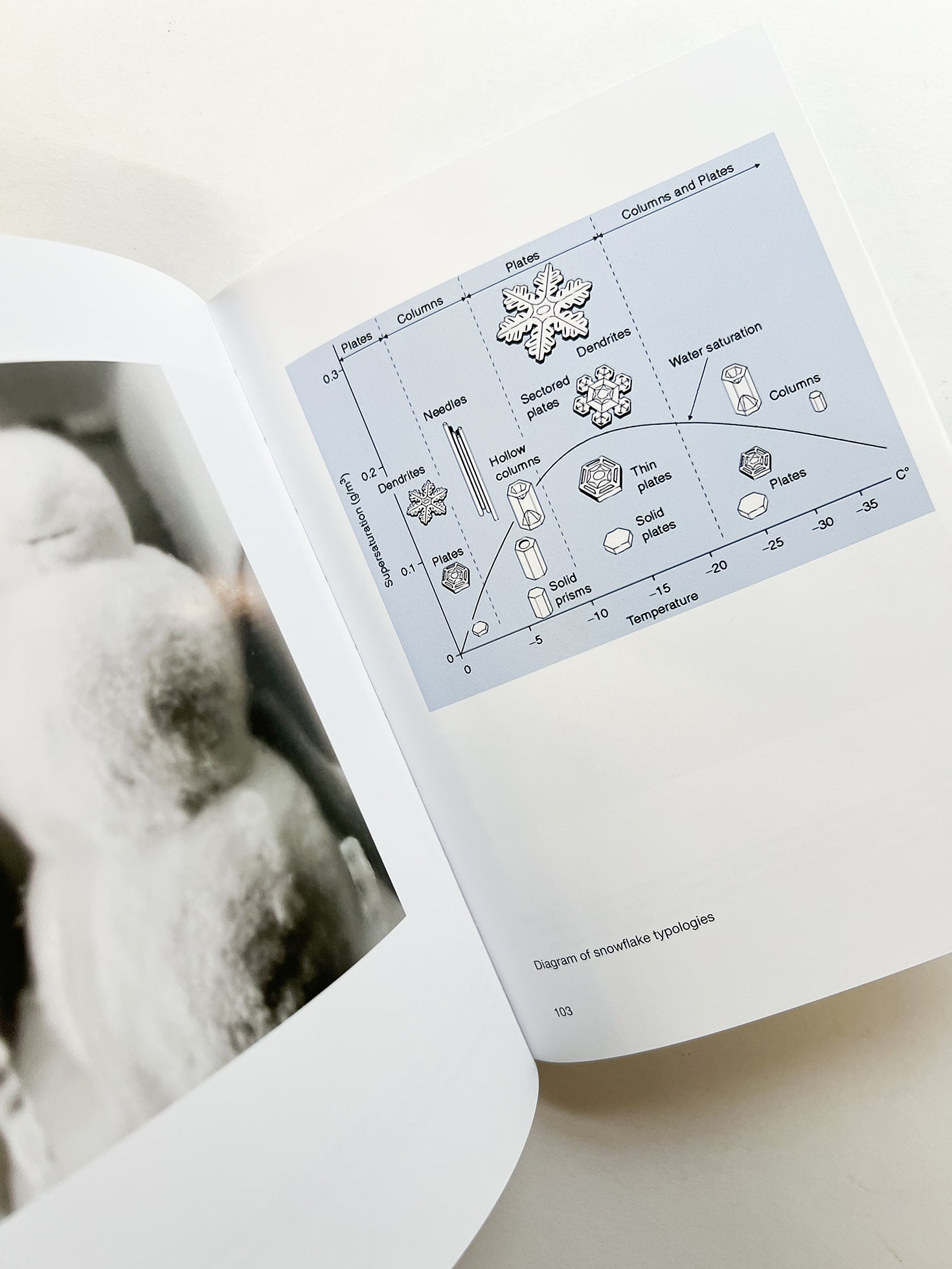 SNOWMAN / Peter Fischli & David Weiss